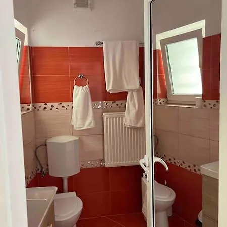 公寓 Hidden Gem In The Center Of The City 布拉索夫