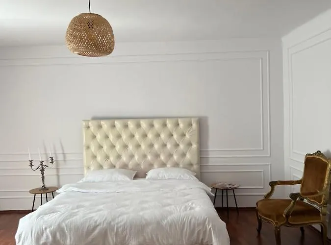 Hidden Gem In The Center Of The City 公寓 布拉索夫